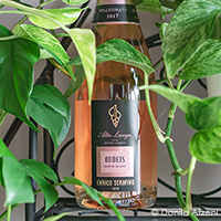 Alta Langa Oudeis Rosé Brut 2017 Enrico Serafino