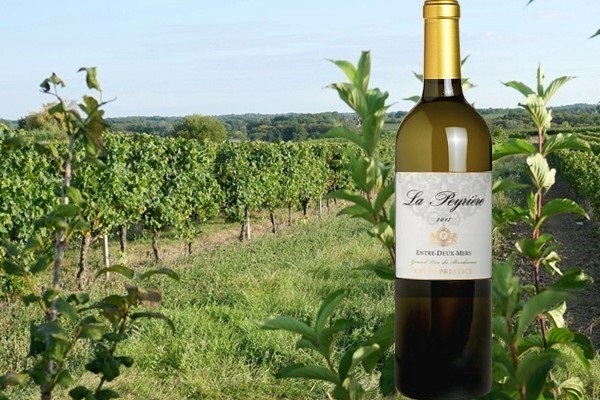 Entre-deux-Mers "La Peyrière" Cuvée Prestige 2017 Producta Vignobles
