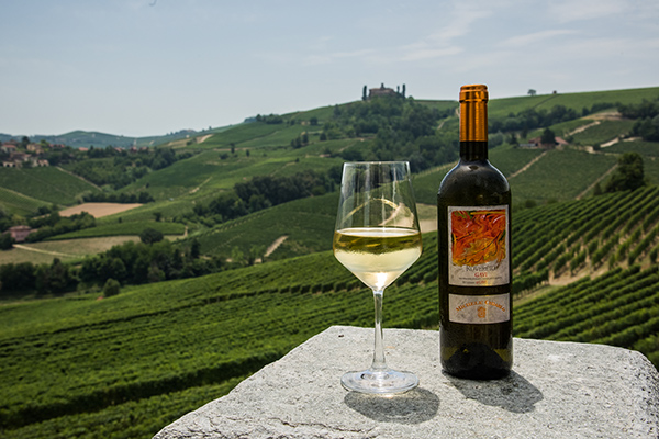 Gavi di Gavi Rovereto Michele Chiarlo