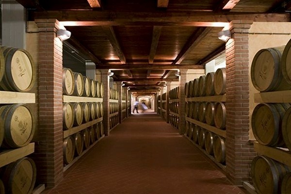 Cantina Santadi