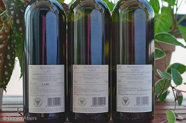 Verticale Gavi del Comune di Gavi Rovereto Michele Chiarlo