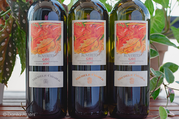 Verticale Gavi del Comune di Gavi Rovereto Michele Chiarlo