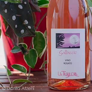 Rosato Galluccio 2020 La Tribuleira