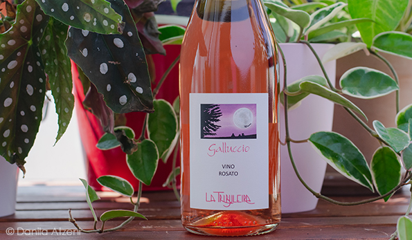 Rosato Galluccio (2020) La Tribuleira