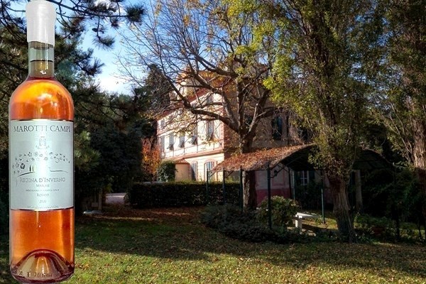 Regina d'Inverno Rosato 2020 Marotti Campi