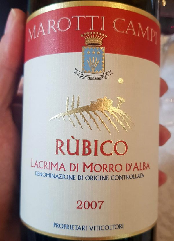 Non ne conosco bene il motivo ma ci sono alcuni vini in Italia che per tradizione, ignoranza o poca pazienza, scegliete voi, si pensa debbano essere bevuti solo dopo pochi mesi la loro messa in commercio perché, altrimenti, “non tengono”. Il Lacrima di Morro d’Alba, aimè, per esperienza diretta, viene spesso inserito in questa categoria ma, se per caso, vi trovate nelle Marche e passate a trovare Lorenzo Marotti Campi, non provate a sostenere davanti a lui la tesi del Lacrima da bere giovane a tutti i costi perché potresti andare incontro a due opzioni: Lorenzo vi scioglie i cani oppure Lorenzo vi apre una verticale di Lacrima di Morro d’Alba DOC “Rubico” senza precedenti per farvi cambiare idea. Io, che sono stato più fortunato di altre persone che ancora stanno scappando dai maremmani di casa Marotti Campi (ovviamente scherzo), ho avuto il piacere di degustare una bellissima verticale di Rubico e, tra le tante annate che a breve descriverò all’interno di un articolo ad hoc su Percorsi di Vino, ho scelto per la rubrica InvecchiatIGP di parlare di un Lacrima di Morro d’Alba di “appena” 14 anni. Marotti Campi - Lacrima di Morro d’Alba DOC “Rubico” 2007: dopo aver controllato più volte l’etichetta e essermi fatto garantire da Lorenzo che prima del 7 non ci fosse il numero 1 modificato in 0, devo ammettere che questo Rubico mi ha fatto davvero sobbalzare sulla sedia perché sia al naso che alla bocca non aveva nulla che facesse presagire la sua età. Nulla. All’olfatto è ancora giovane e sfavillante nelle sue classiche sensazioni di visciola, mora, rosa, peonia, spezie nere su incipit di erbe balsamiche. Sorso assolutamente vivo, composto, equilibrato, non sfuma in note eteree e terrose ma ripropone continuamente un finale fruttato, sapido e goloso che, a distanza di mesi, ancora ricordo nitidamente. E ora, come la mettiamo con queste false credenze? Intanto che pensate alla risposta definitiva il mio consiglio è di continuare a leggere gli articoli di InvecchiatIGP!