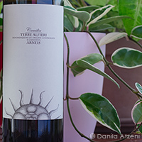Terre Alfieri Arneis Camilin 2020 Vincenzo Bossotti