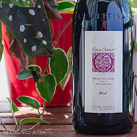 Terre Alfieri Nebbiolo DLA' 2017 Ca' Richeta