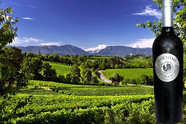 Parcel #368 Tai Bianco 2013 della Tenuta Santomè