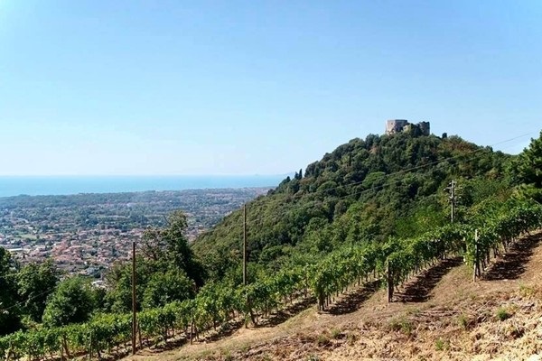 Tenuta Palatina
