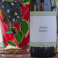 Langhe Arneis 2020 Pertinace