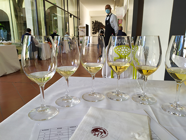 La degustazione di Albana al MIC