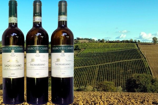 Castelli di Jesi Verdicchio Riserva classico ”Salmariano” 2018, 2017 e 2009