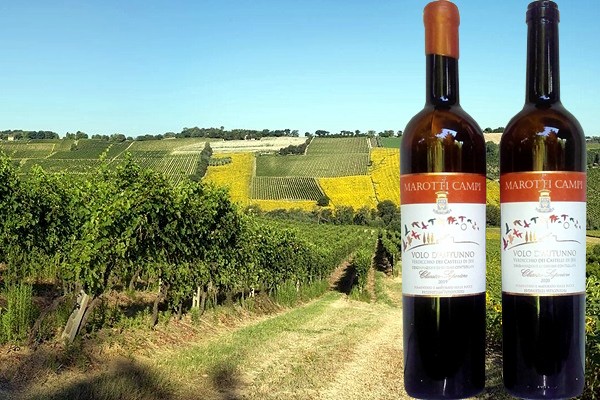 Verdicchio dei Castelli di Jesi Classico Superiore Macerato Volo d’autunno 2020 e 2019