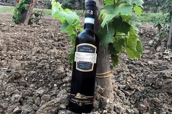 Ischia Biancolella Vigna del Lume 2019 delle Cantine Antonio Mazzella