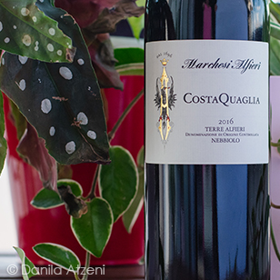 Terre Alfieri Nebbiolo CostaQuaglia 2016 Marchesi Alfieri