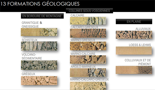 tipologie di suolo alsaziano