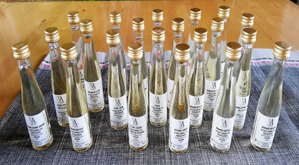 Tutti i Riesling degustati