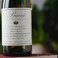 Verdicchio dei Castelli di Jesi Classico Superiore 2019 Bucci