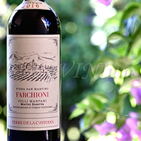Colli Martani Merlot Vigna San Martino Riserva 2016 Terre de La Custodia