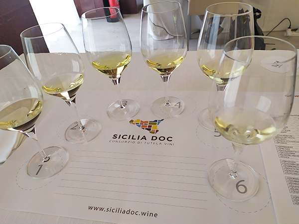 Degustazione vini bianchi Sicilia DOC