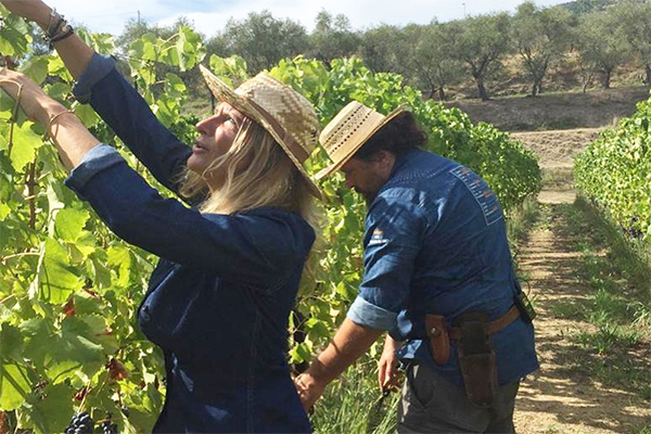 Milva e Daniele in vendemmia