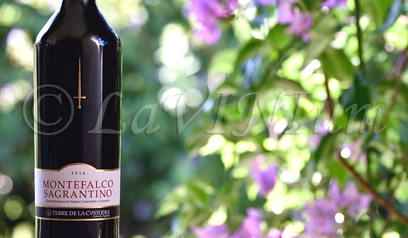 Montefalco Sagrantino 2016 Terre de La Custodia