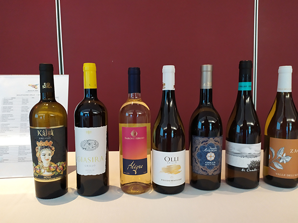 I vini bianchi degustati