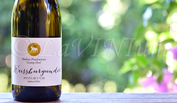 Alto Adige Weissburgunder Mediaevum 2020 Gump Hof Markus Prackwieser