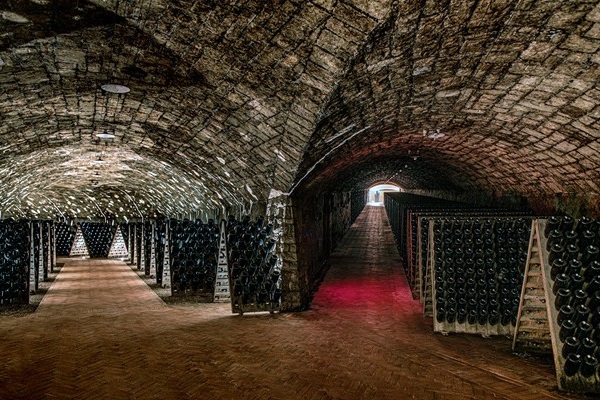 Ca' del Bosco cantina