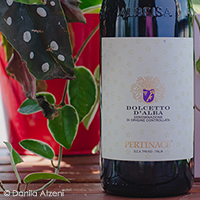 Dolcetto d'Alba 2020 Pertinace
