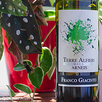 Terre Alfieri Arneis 2020 Franco Giacinto