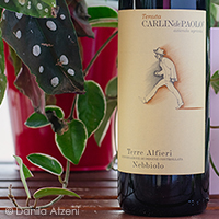 Terre Alfieri Nebbiolo 2018 Carlin de Paolo