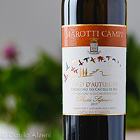 Verdicchio dei Castelli di Jesi Classico Superiore Volo d'Autunno 2019 Marotti Campi