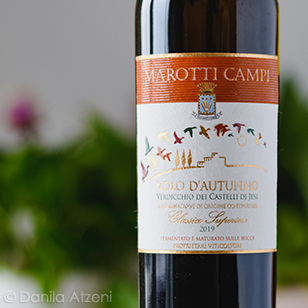 Verdicchio dei Castelli di Jesi Classico Superiore Volo d'Autunno 2019 Marotti Campi
