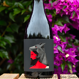 Aita Rosso 2019 Muscari Tomajoli