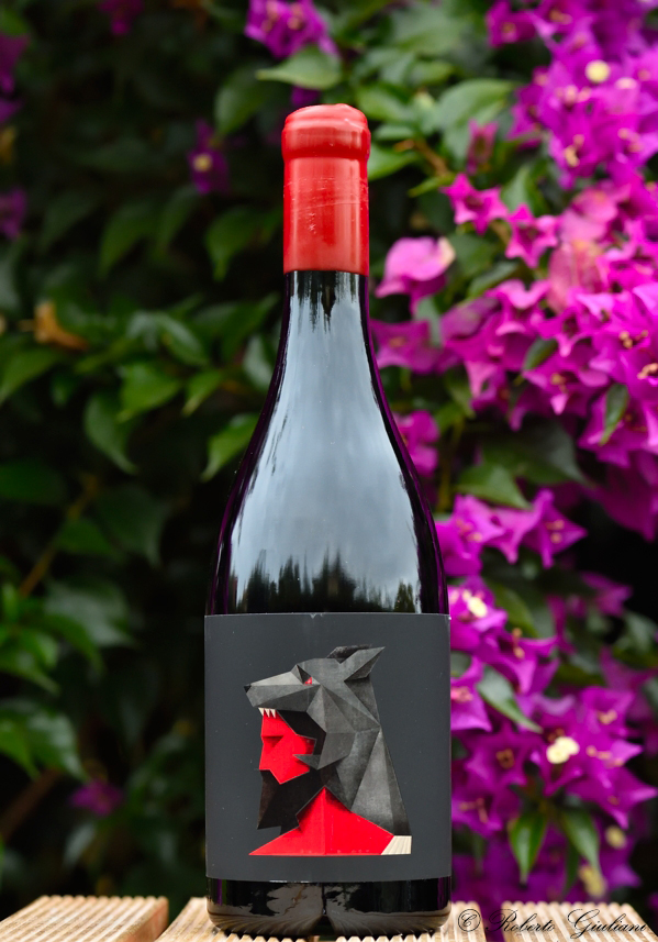 Aita Rosso 2019 Muscari Tomajoli