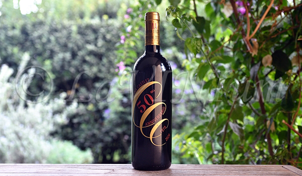 Barbera d'Asti Superiore Litina 50° Anniversario 2017 Cascina Castlet