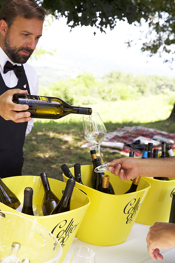 Collio sommelier