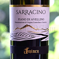 Fiano di Avellino Sarracino 2020 Aminea