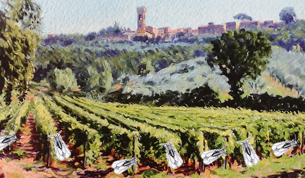 Copertina de Il Pioniere italiano della lotta alla fillossera