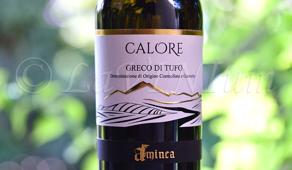 Greco di Tufo Calore 2019 Aminea