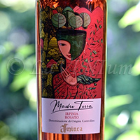 Irpinia Rosato Madre Terra Aminea