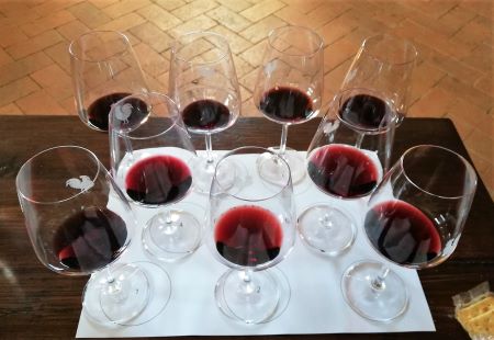 degustazione Chianti Classico Riserva Montegiachi e Castello di Radda Riserva