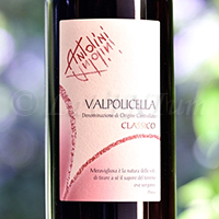 Valpolicella Classico 2020 Antolini