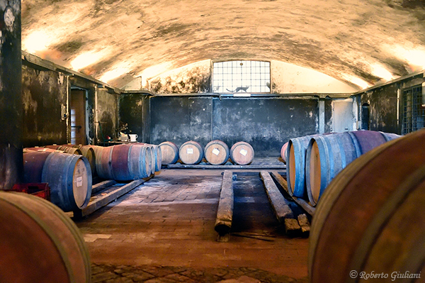 Varramista barriques