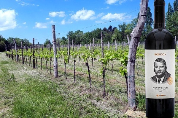 Ivanov Refošk Slovenska Istra 2009 Bordon