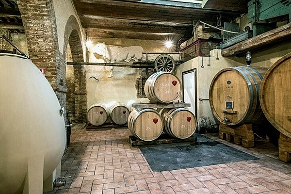 Fattoria del Colle bottaia