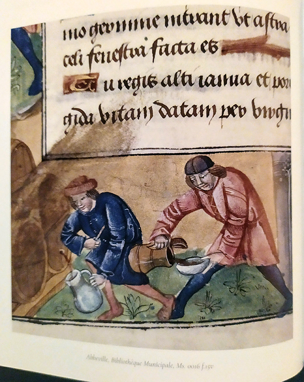 il vino nella bibbia