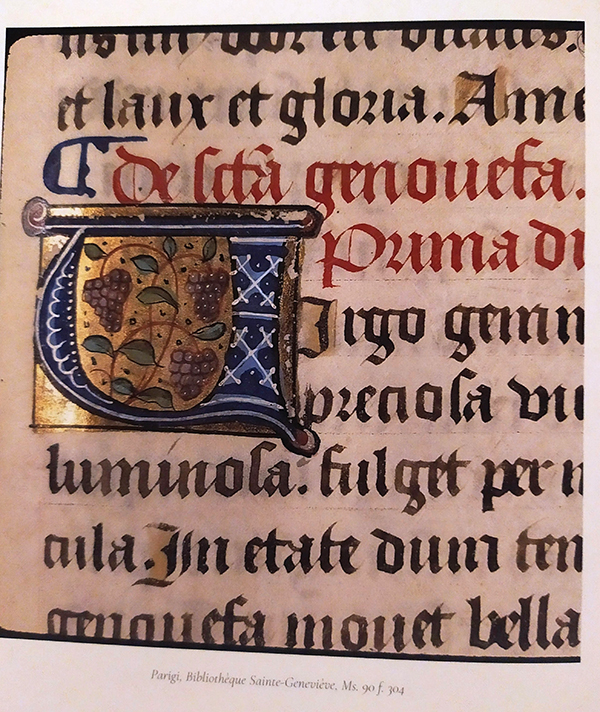 il vino nella bibbia